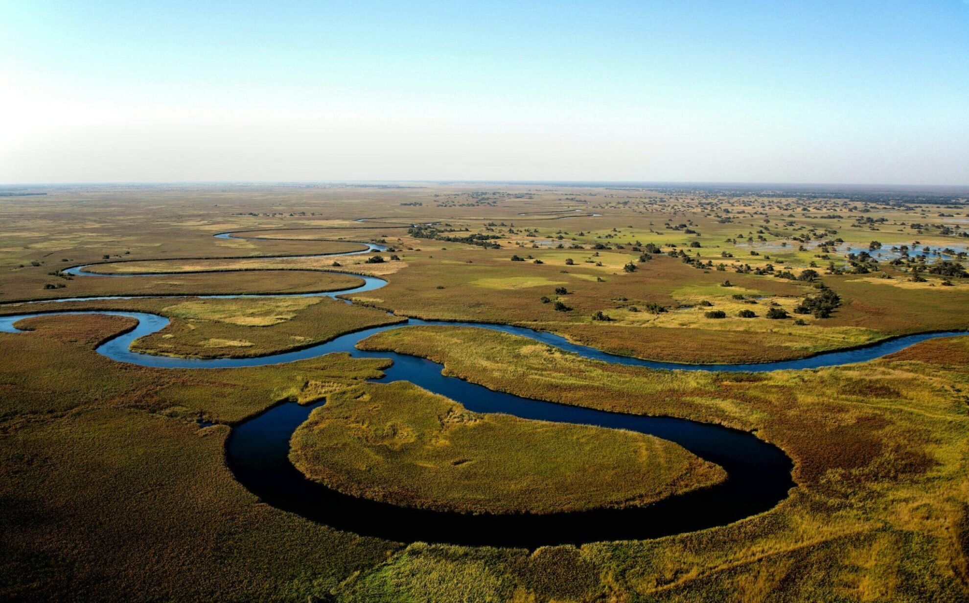 Hippo Hunting in Botswana