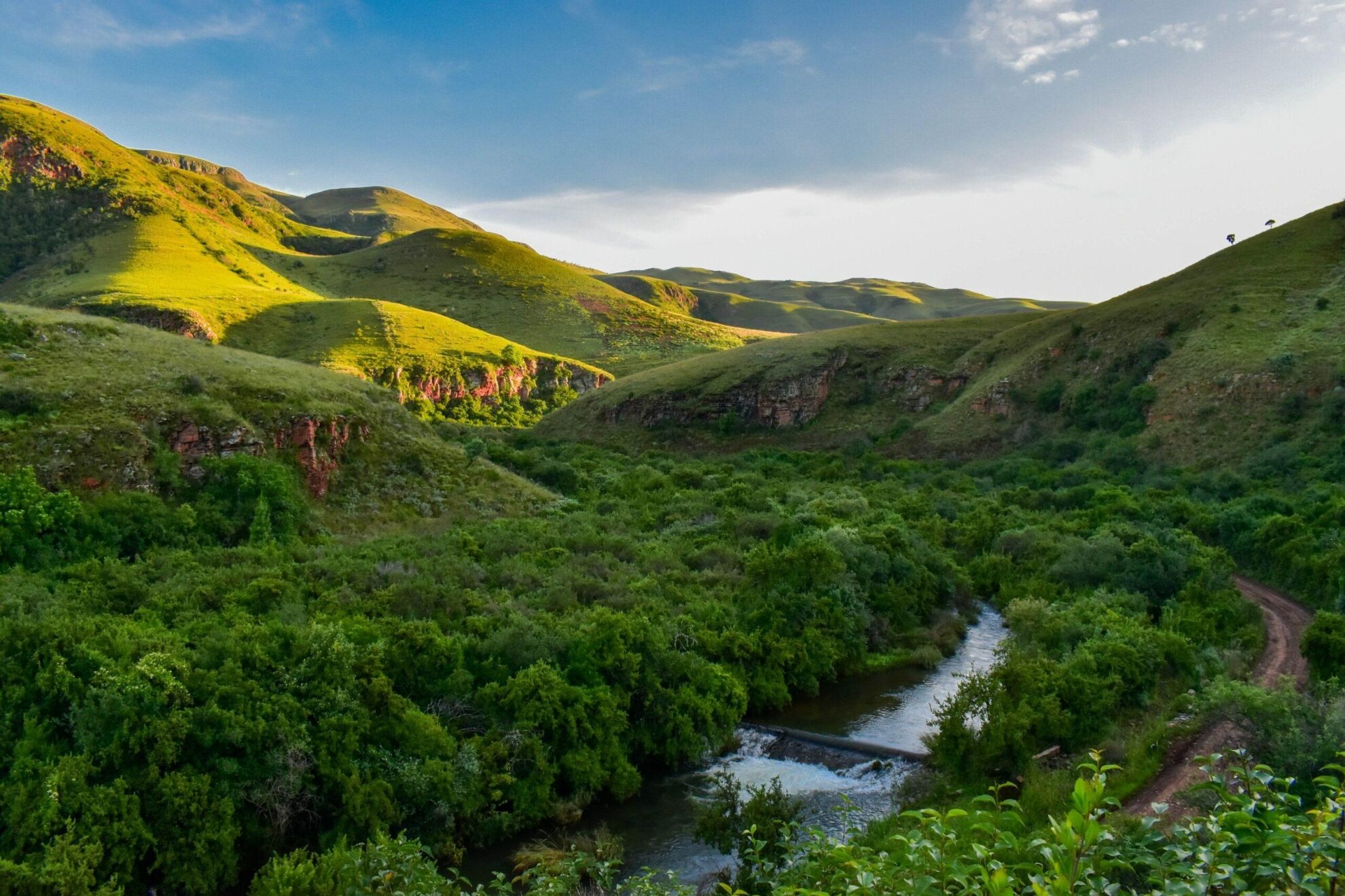 Hunting in South Africa 