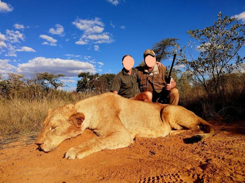 Lioness Hunting in South Africa