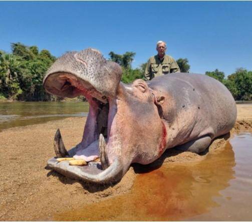 Lake Cahora Bassa: Mozambique’s Wild Water Hunt