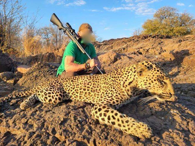 Leopard, Plains Game & 14 Days in Zimbabwe