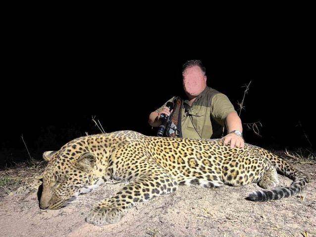 14-Day Free-Range Leopard Safari | Niassa Reserve, Mozambique