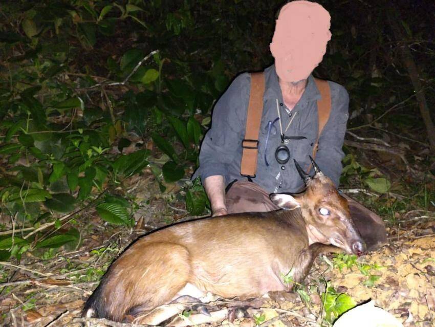 Hunting Safari in the Undiscovered Destination of Gabon