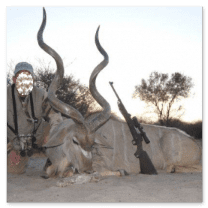 African Kudu Hunt in Namibia: 8 Days Hunting 4 Species