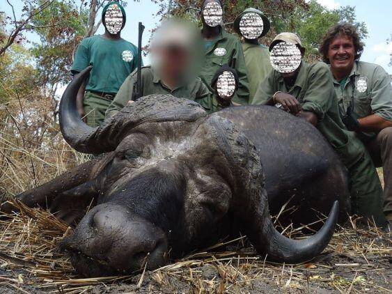 Traditional Cape Buffalo Hunting Safari in Tanzania
