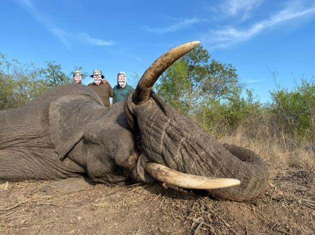 Leopard Hunting in Namibia & Brown Hyena Cancelation Hunt
