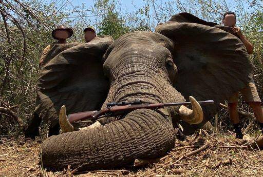 Elephant Hunting in Zambia | 10-Day Trophy Hunt in Rufunsa Valley