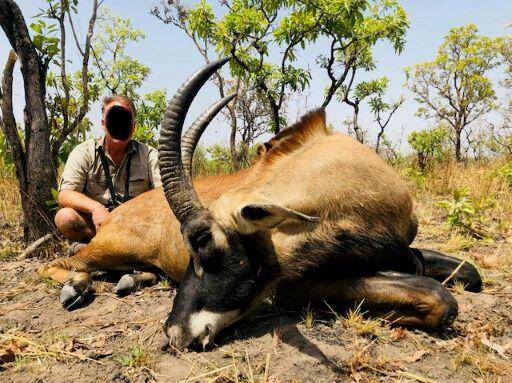Buffalo Hunting & Roan in the Savannah Cameroon