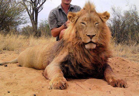 Kalahari Lion & Lioness Safari Package