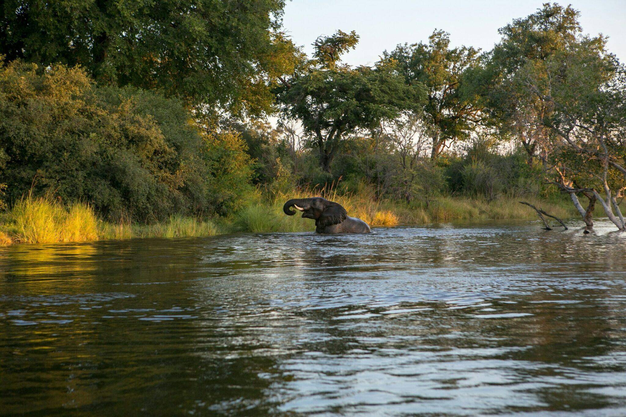 Hunting in Zambia