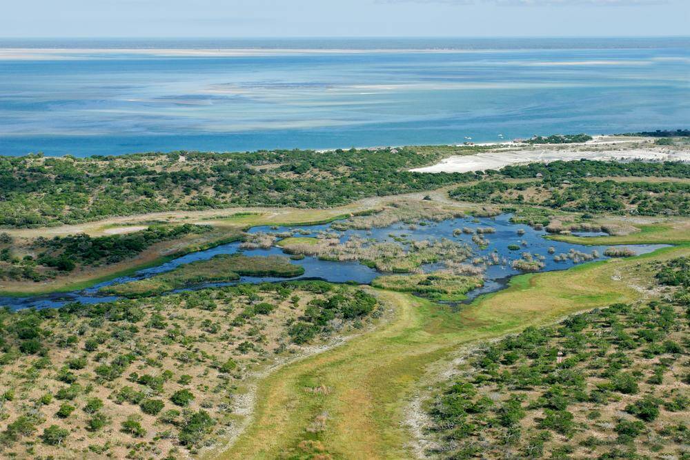 Lion Hunting in Mozambique