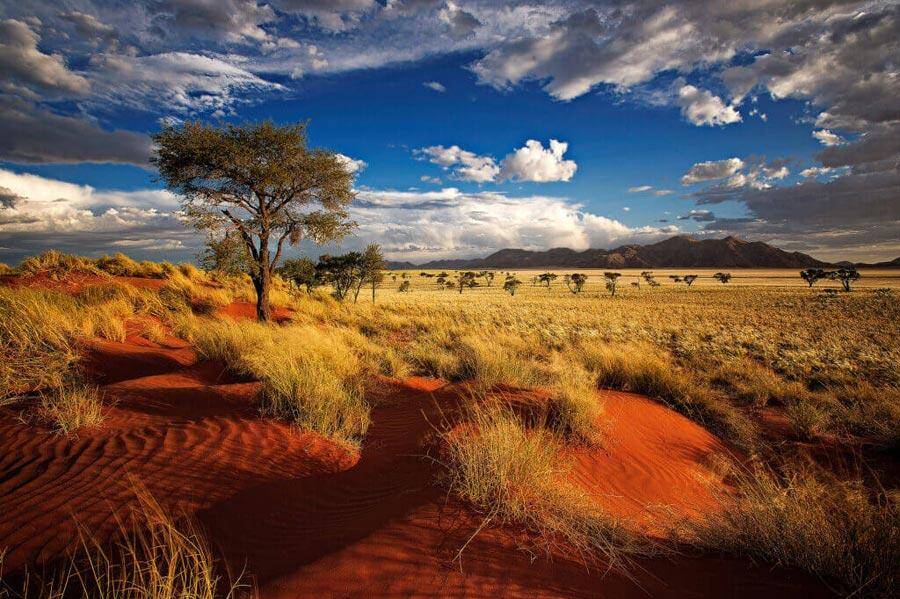 Hunting Elephant in Namibia