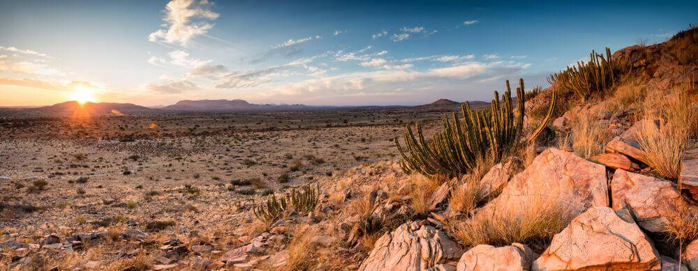 Lion Hunting in South Africa: What Most Hunters Don’t Understand