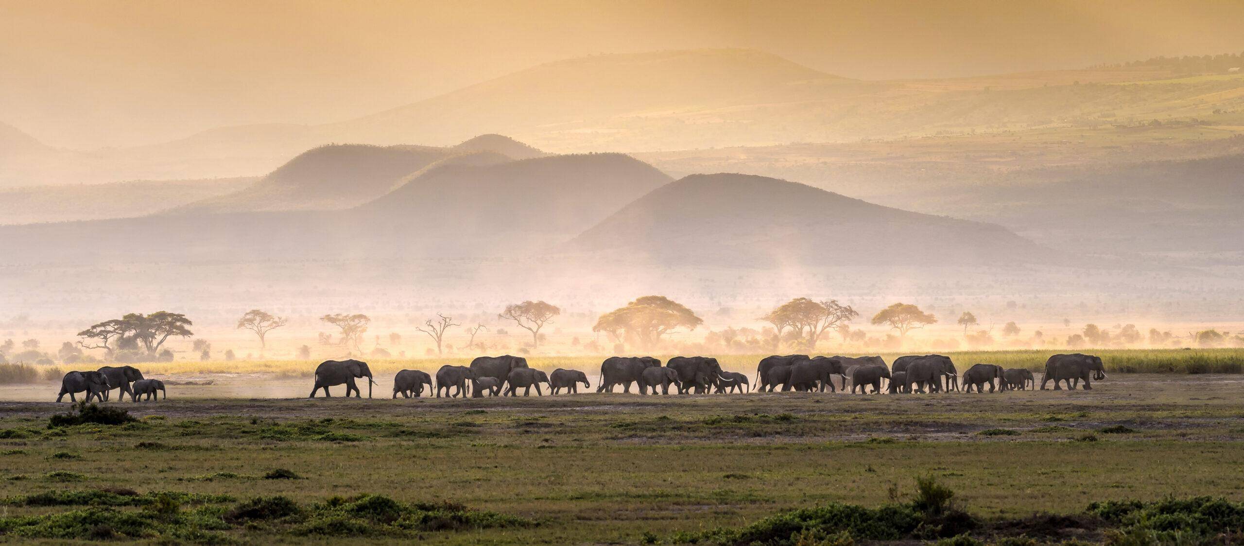 What Most Hunters Get Wrong About Hunting in Tanzania