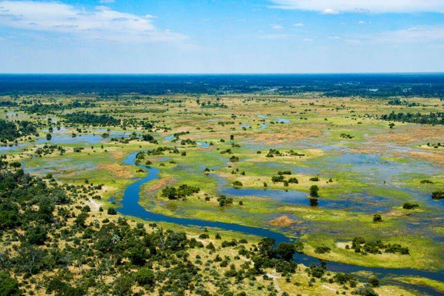 Top Safari Hunting Destinations In Botswana: An Overview
