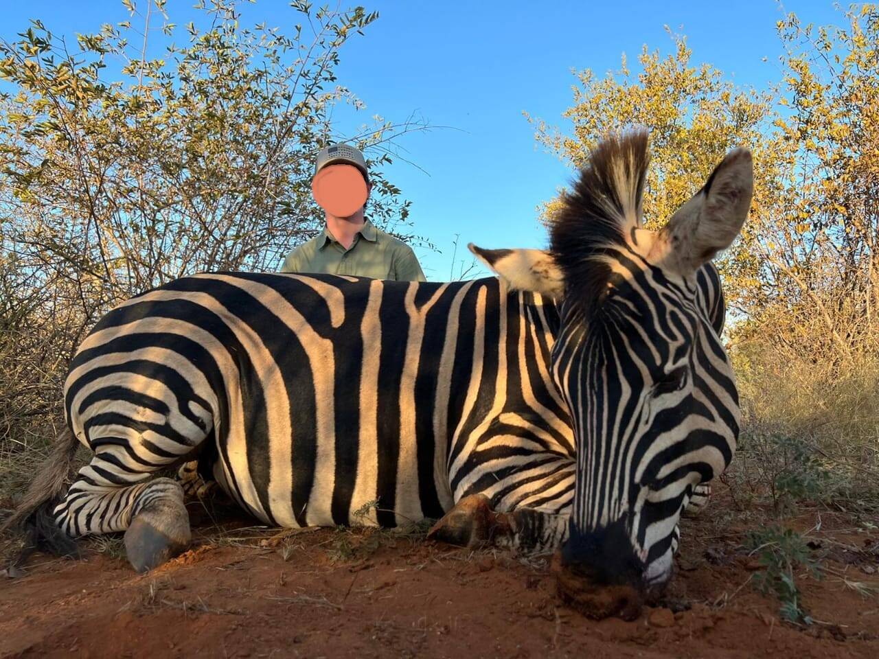 A Classic South African Hunt: Kudu, Gemsbok & 4 More Species 