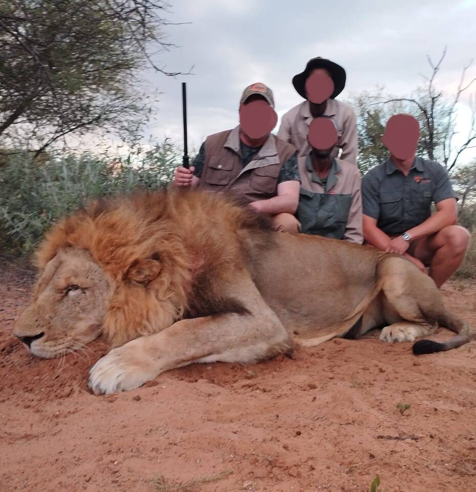 South Africa Lion Hunting Safari | North West Province