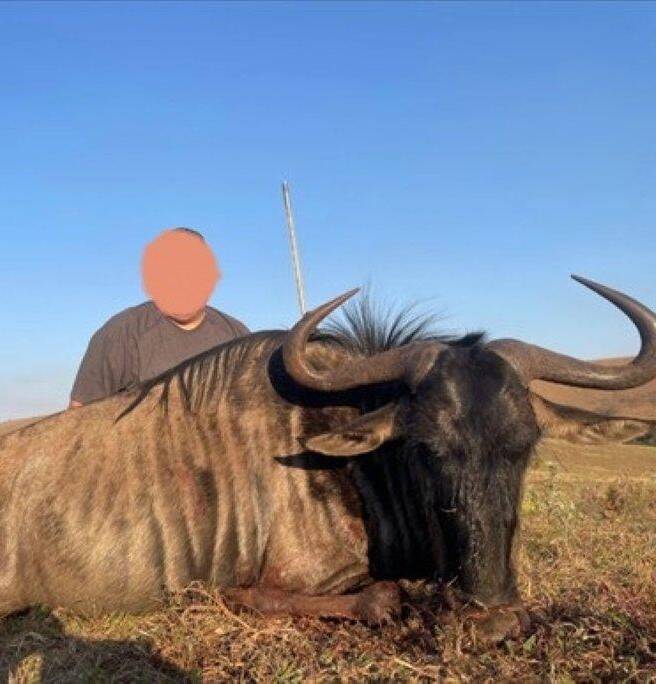 Leopard Hunting in Namibia & Brown Hyena Cancelation Hunt