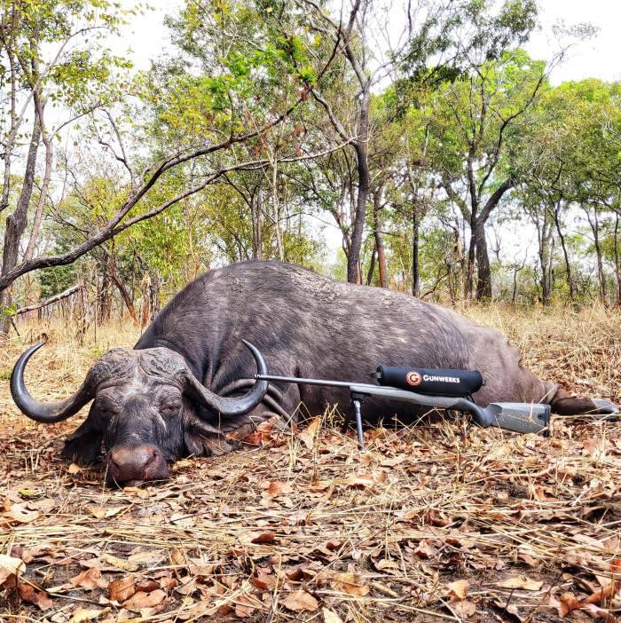 Leopard Hunting in Namibia & Brown Hyena Cancelation Hunt