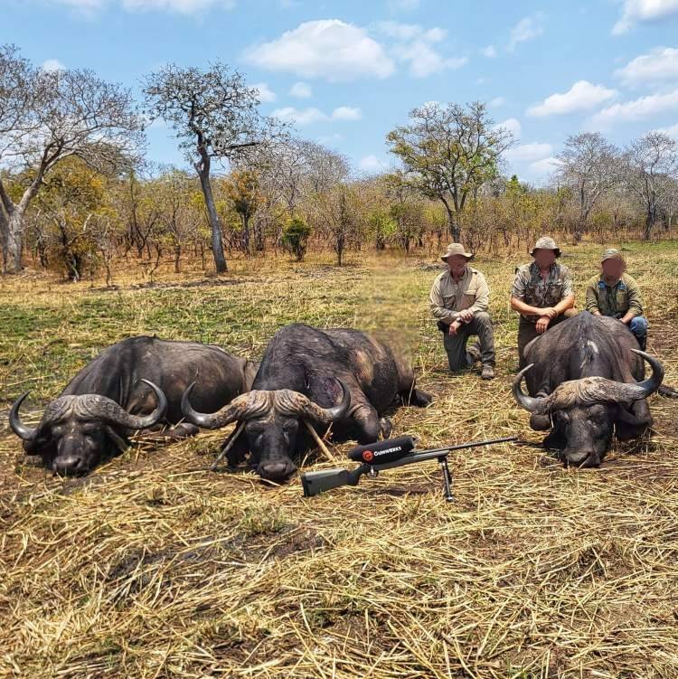 Leopard Hunting in Namibia & Brown Hyena Cancelation Hunt