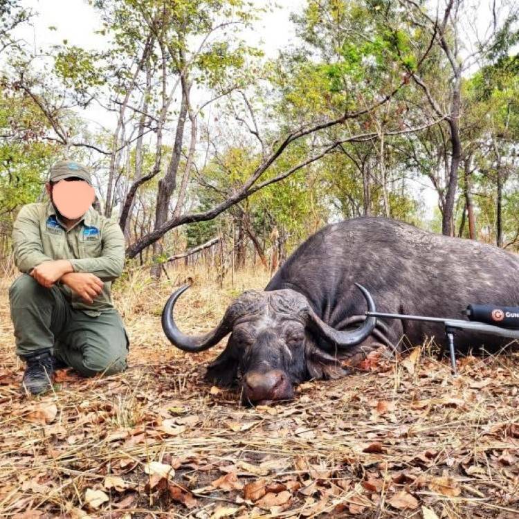 Full Bag Safari in Tanzania’s Liparamba Region