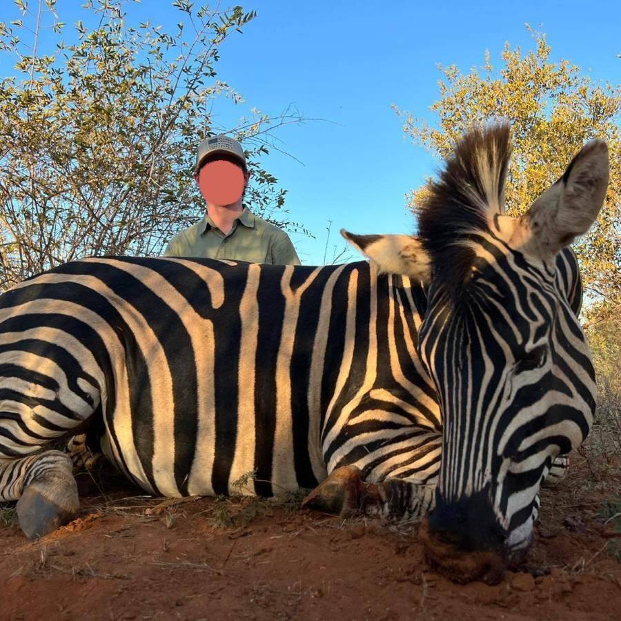 Plains Game Hunting in Mozambique: Choose Your Own Trophies
