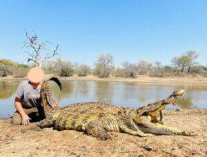 crocodile Hunt